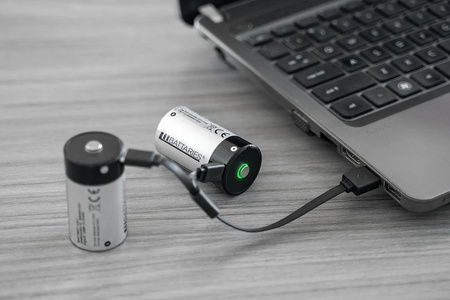 LiiBattaries POWERFUL LITHIUM-ION BATTERY D USB-C 2pcs. 6500mAh.