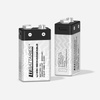 LiiBattaries POWERFUL LITHIUM-ION BATTERY 9V USB-C 2pcs 500mAh 9V Battery