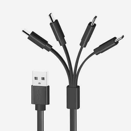LiiBattaries USB-C 4w1 dedykowany do AKUMULATORÓW LITOWO-JONOWYCH 19cm Fast