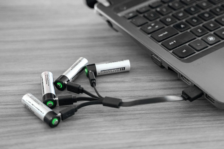 LiiBattaries USB-C 4w1 dedykowany do AKUMULATORÓW LITOWO-JONOWYCH 19cm Fast