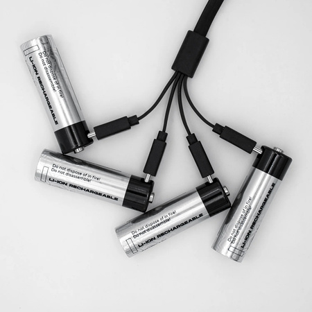 LiiBattaries USB-C 4-in-1 dedicated to LITHIUM-ION BATTERIES 19cm Fast